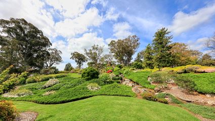 Japanese Garden - Cowra 